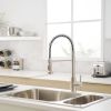 New Single Handle Pull-Down Sprayer Kitchen Faucet