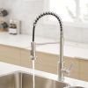 New Single Handle Pull-Down Sprayer Kitchen Faucet